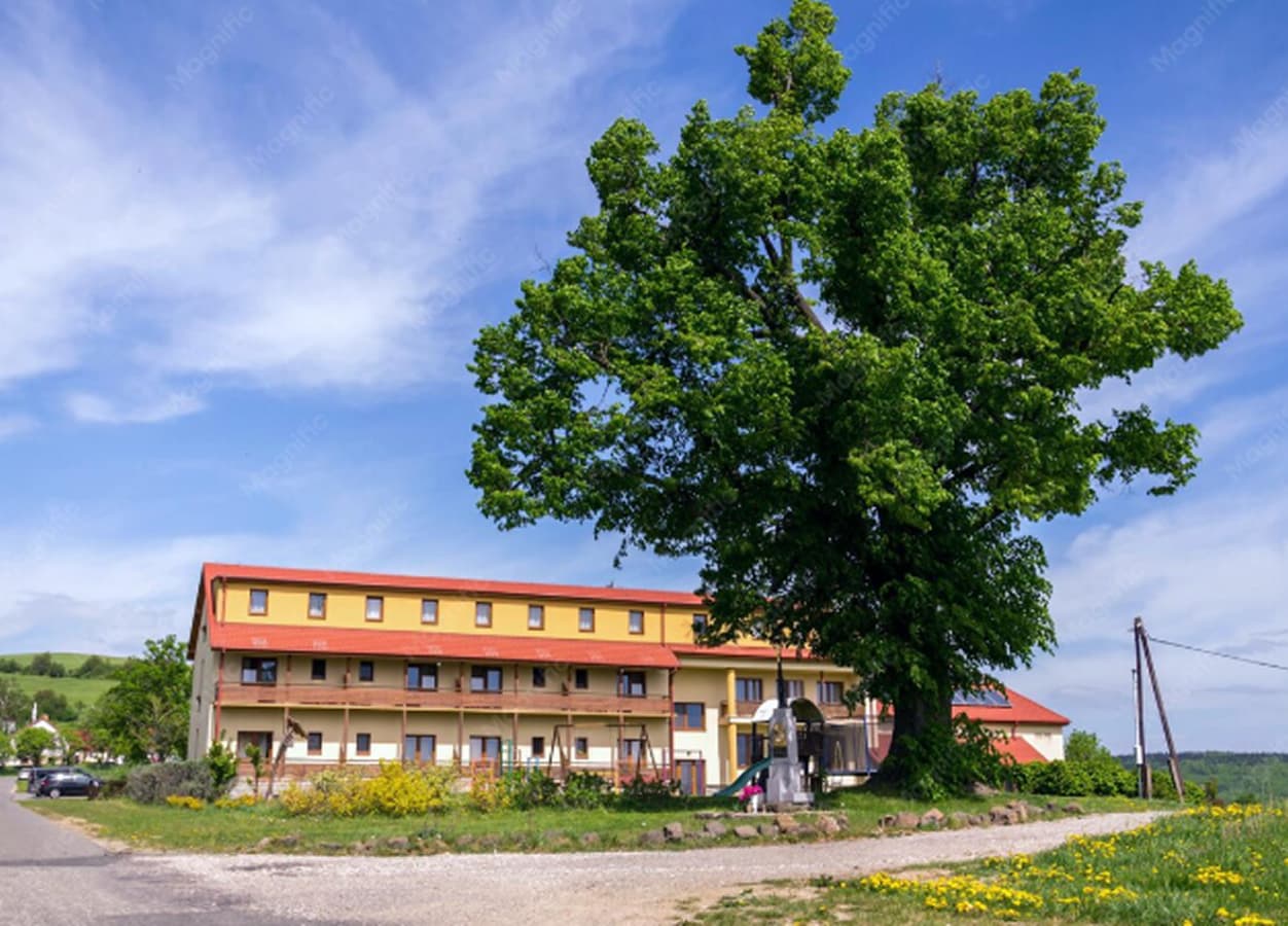 Education & School Rebuild